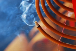 摄影新手必学构图的基础概念-图迷影像