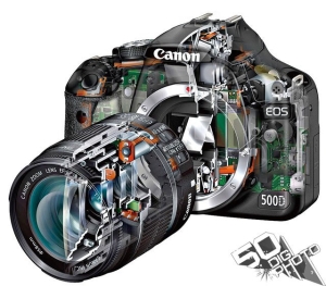 新手必学拍摄时该如何对焦?-图迷影像