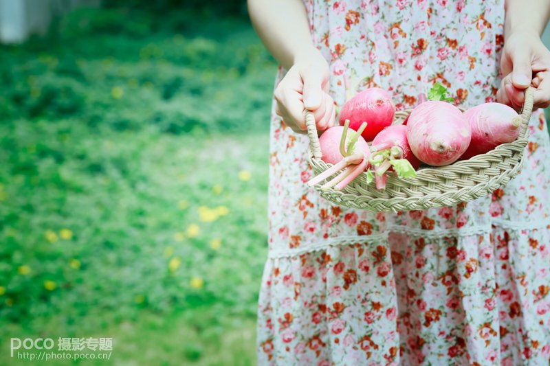 如何有效地学习拍摄美食摄影？-图迷影像