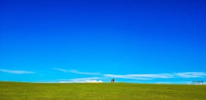 手机摄影掌握好这些构图和用光技巧-图迷影像