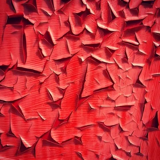 10个简单技巧就能拍出高逼格插图11