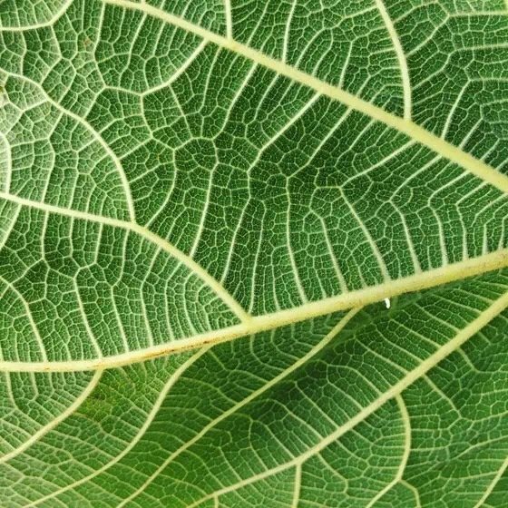 10个简单技巧就能拍出高逼格插图10
