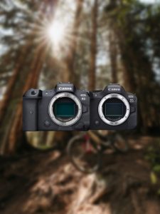 佳能 R6 II 与 R5:您应该选择哪个?-图迷影像